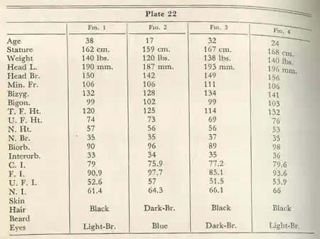 Plate 22